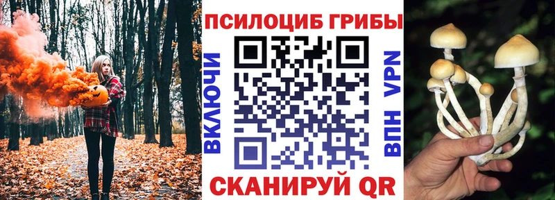 Псилоцибиновые грибы мухоморы  Кириши 
