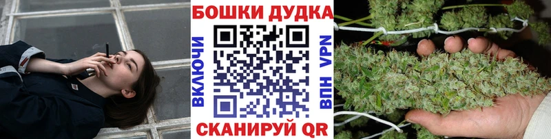 Бошки Шишки план Кириши