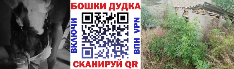 Канабис OG Kush  Кириши 